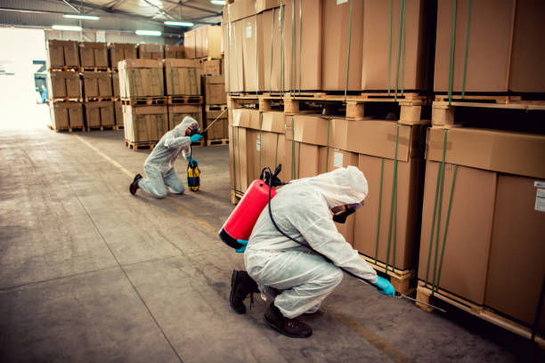 Flea Control Services in Hollidaysburg, PA