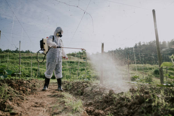 Best Best Pest Control Companies  in Hollidaysburg, PA