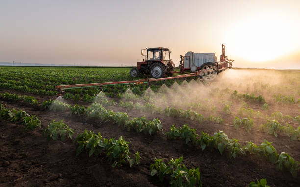 Best Commercial Pest Control Services  in Hollidaysburg, PA