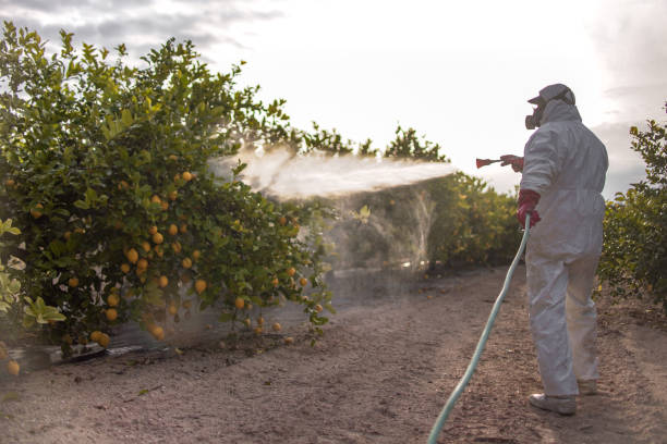 Best Pest Prevention Services  in Hollidaysburg, PA