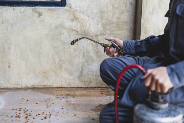 Best Pest Inspection Near Me  in Hollidaysburg, PA